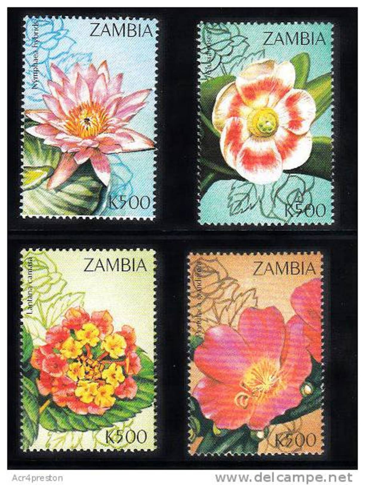 Zm9956 Zambia, Flowers Of Zambia  MNH - Zambie (1965-...)