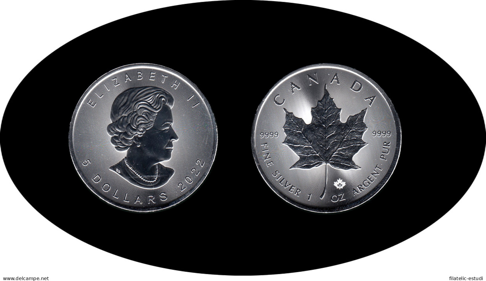 Canadá  2022 Onza Plata Silver 5 $ Maple Leaf - Sonstige & Ohne Zuordnung