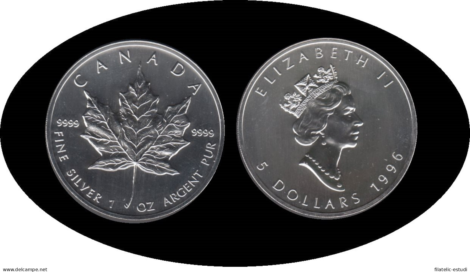 Canadá Canada Onza De Plata 5 $ 1996 Maple Leaf Elisabeth II - Autres & Non Classés