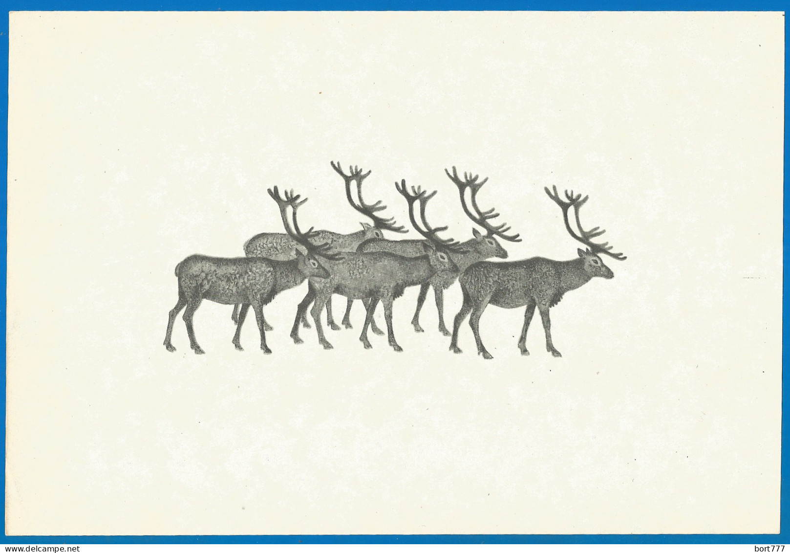 RUSSIA 1973 GROSS Matchbox Label - Winter Forest - Animals (catalog # 246) Revers - Matchbox Labels