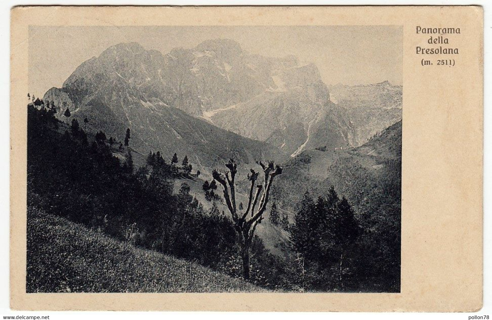 PANORAMA DELLA PRESOLANA - BERGAMO - 1913 -  Vedi Retro - Formato Piccolo - Bergamo