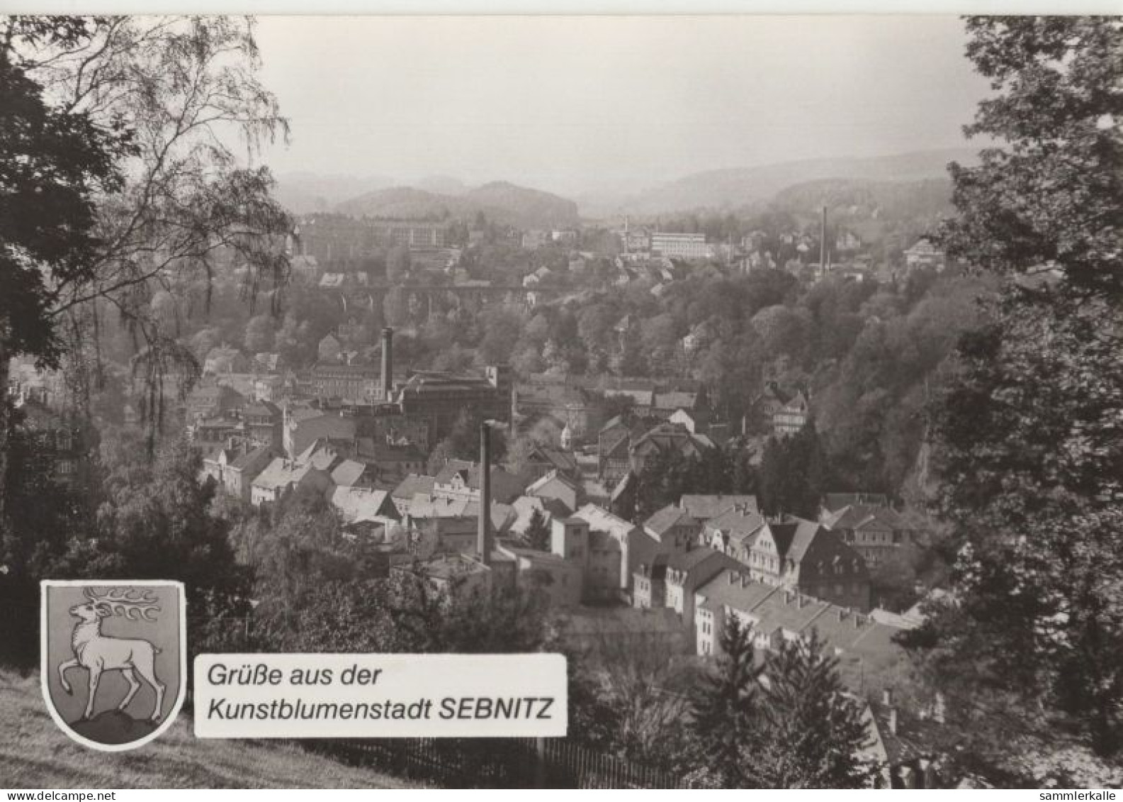 136089 - Sebnitz - Ansicht - Sebnitz