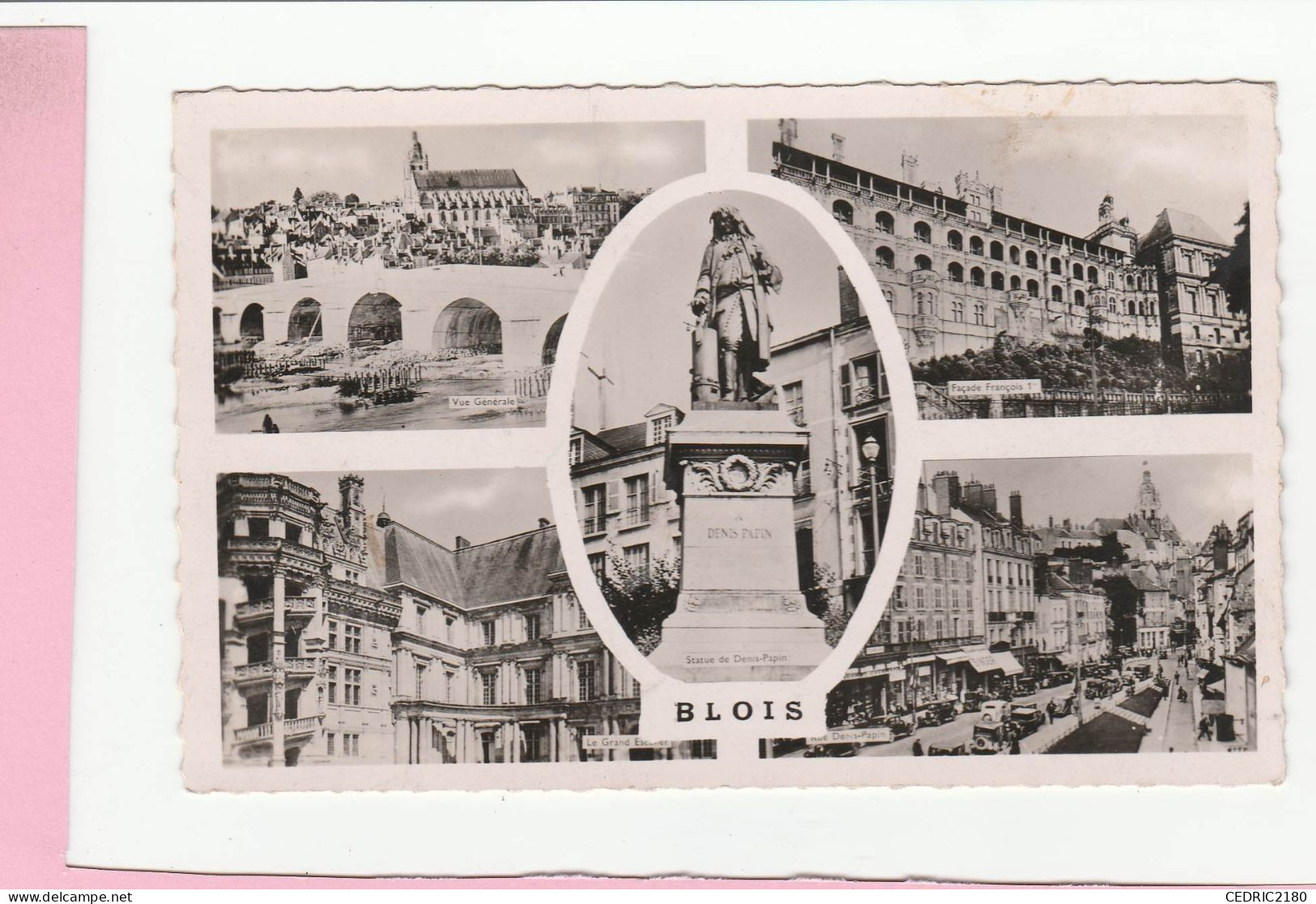 SOUVENIR DE BLOIS - Souvenir De...