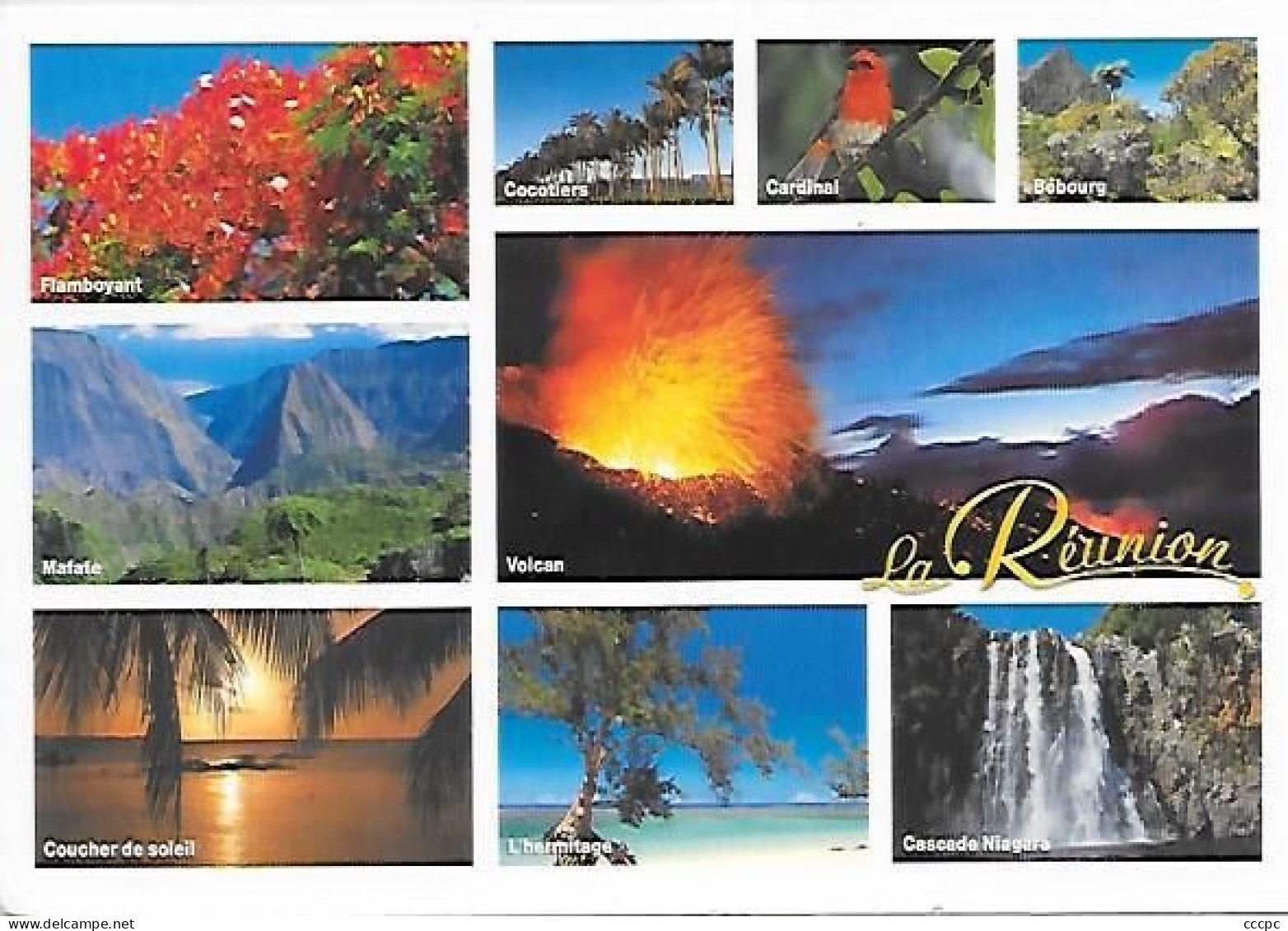 CPM La Réunion Vues Multiples - Réunion