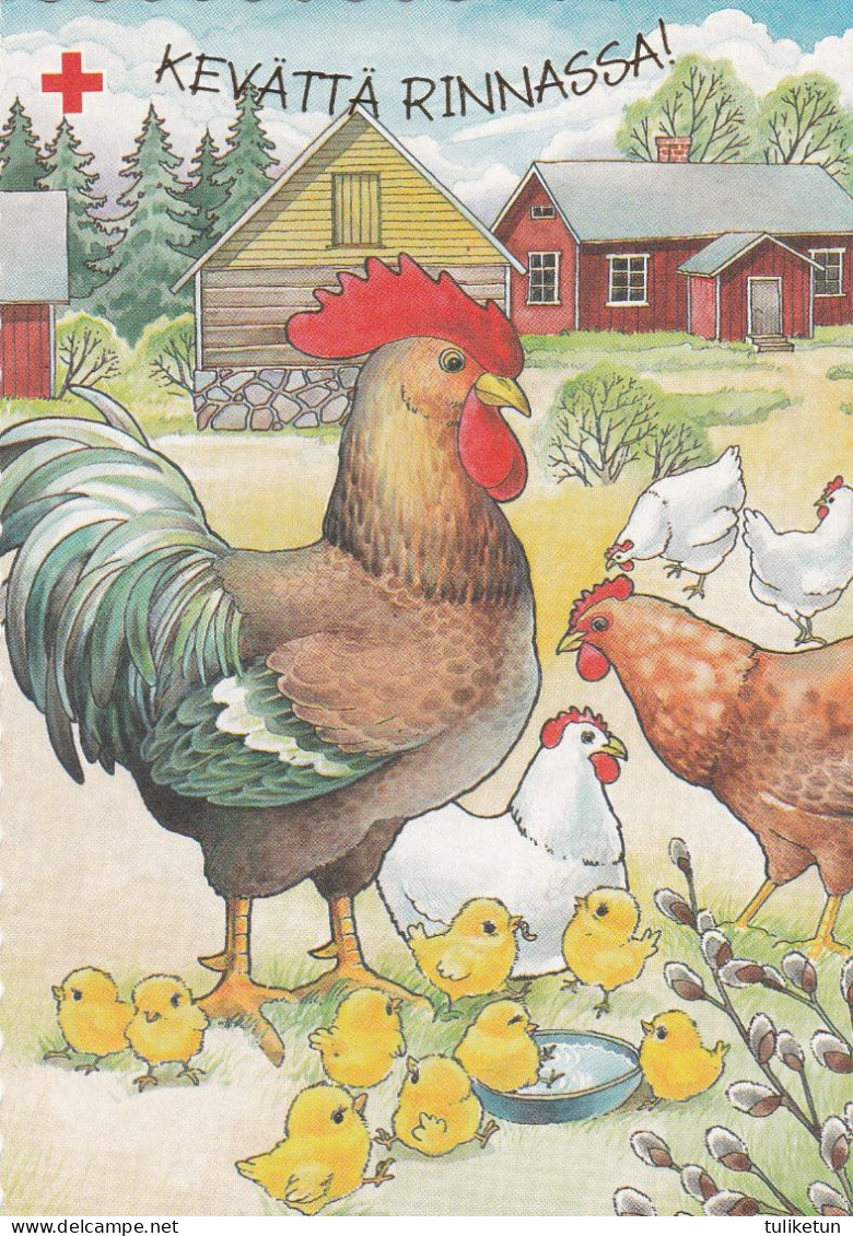 Postal Stationery - Cock With Chicks - Eggs - Happy Easter - Red Cross 1997 - Suomi Finland - Postage Paid - Postal Stationery