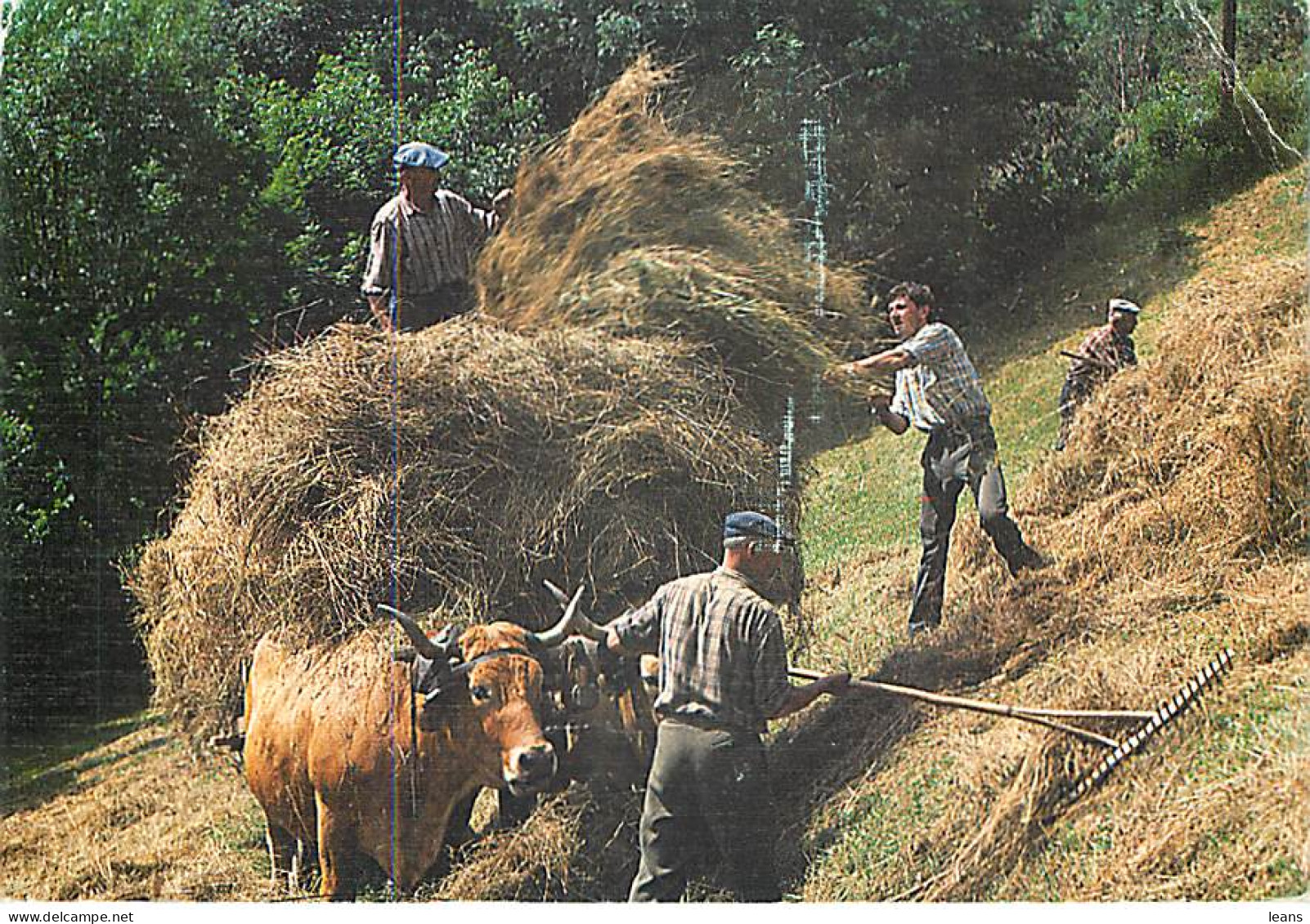 TRADITIONS DE LA CAMPAGNE - LA FENAISON  - Landbouw