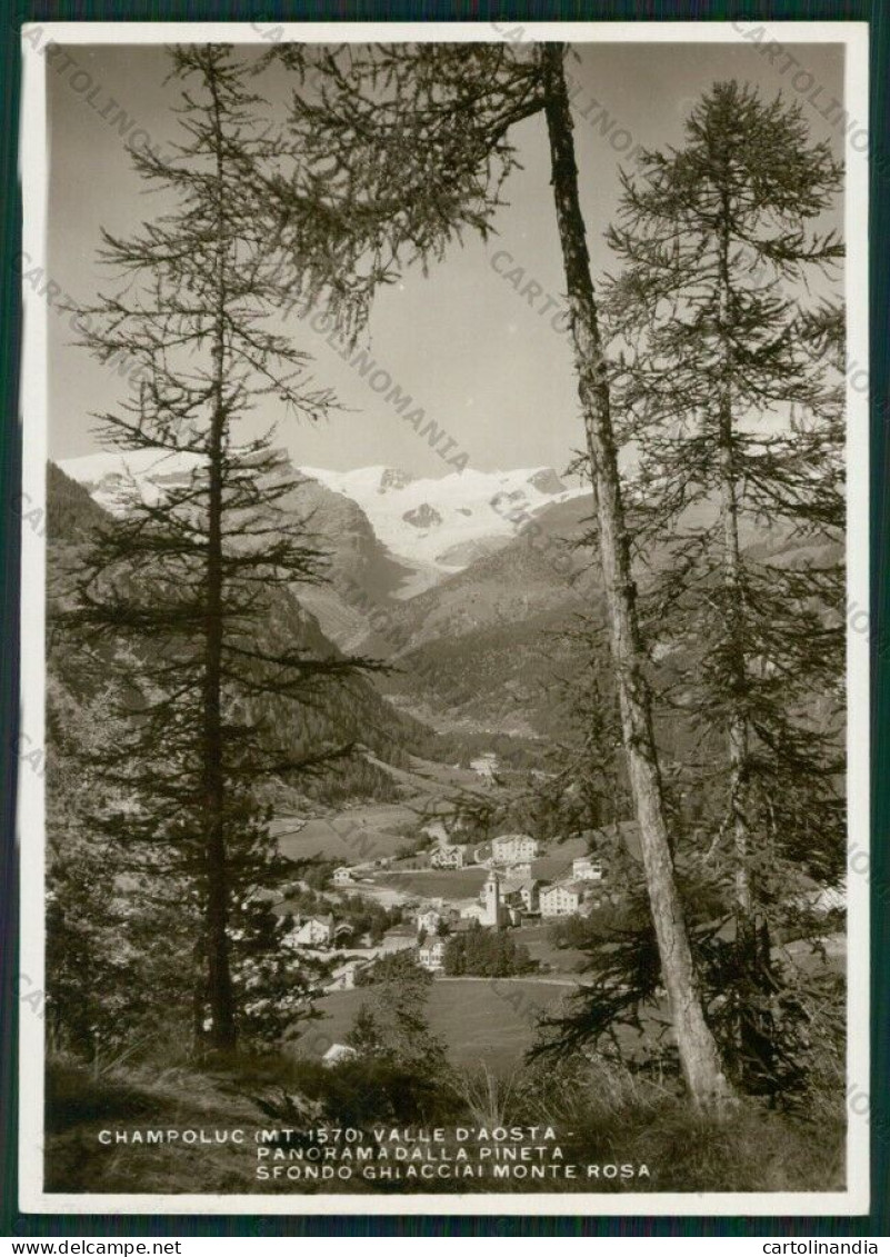 Aosta Ayas Champoluc Monte Rosa Foto FG Cartolina KV8834 - Aosta