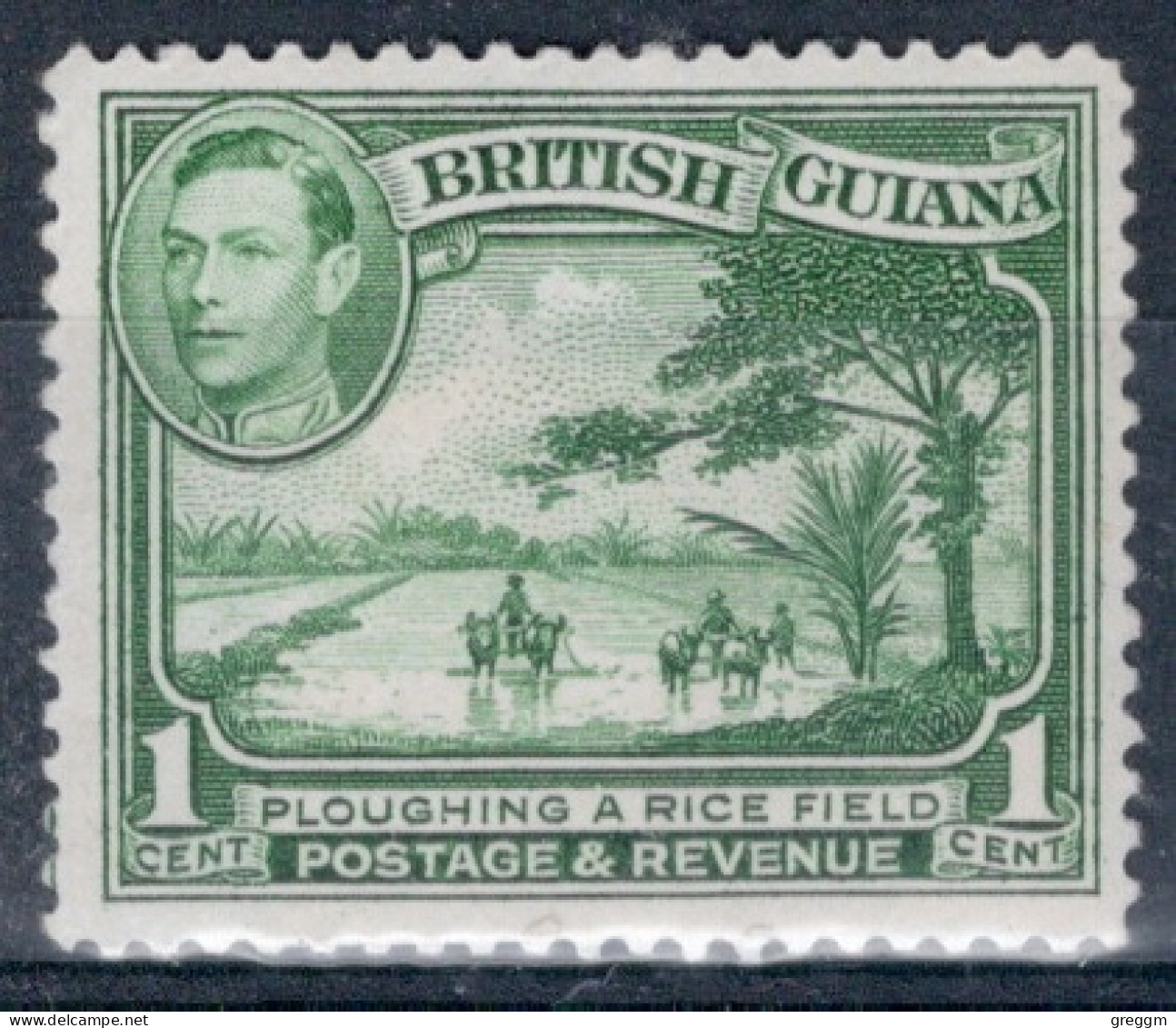 British Guiana 1938 King George VI Definitive Issues In Unmounted Mint - Brits-Guiana (...-1966)