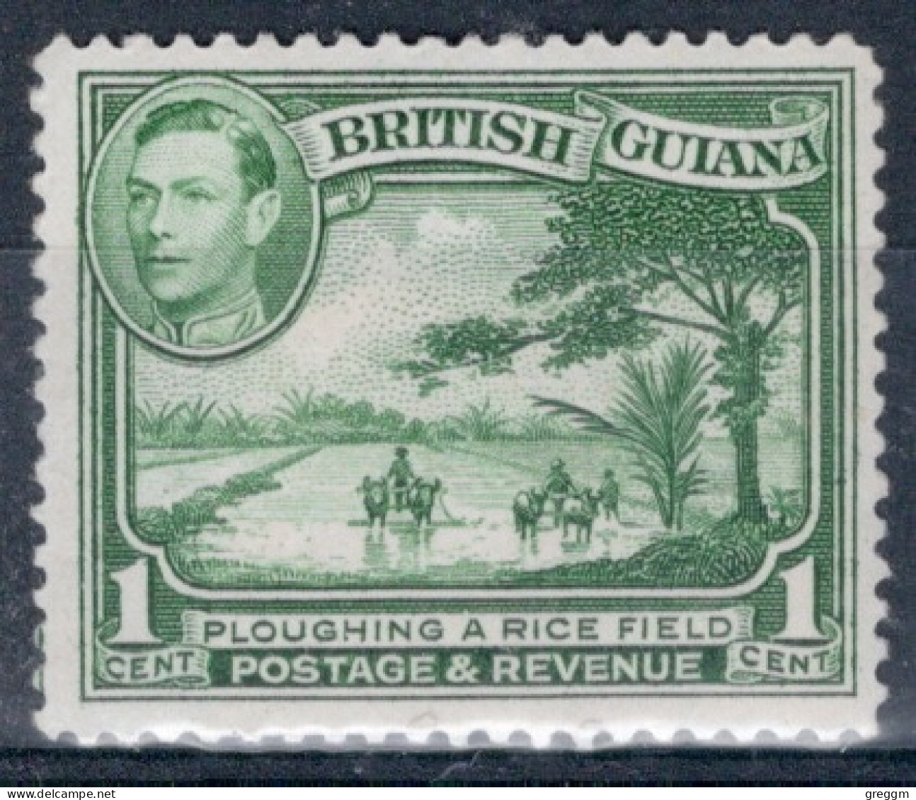 British Guiana 1938 King George VI Definitive Issues In Unmounted Mint - Britisch-Guayana (...-1966)