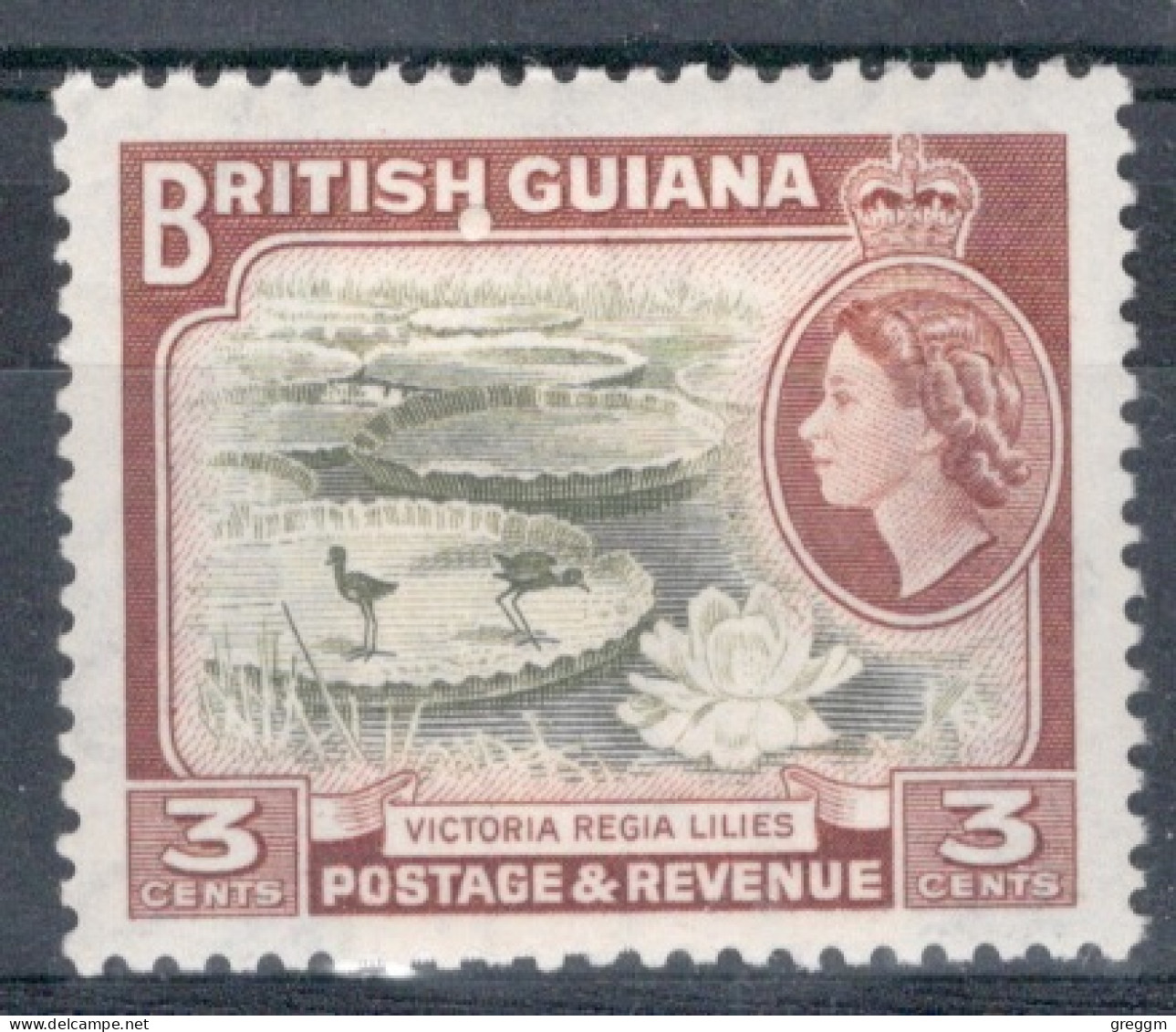 British Guiana 1954 Queen Elizabeth II`s Definitives In Unmounted Mint - Brits-Guiana (...-1966)