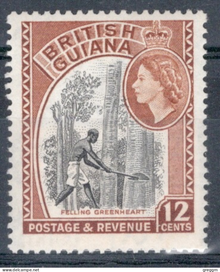 British Guiana 1954 Queen Elizabeth II`s Definitives In Unmounted Mint - Guyane Britannique (...-1966)