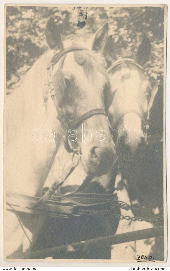 * T4 Arad, Lovak / Horses. Photo (lyuk / Pinhole) - Ohne Zuordnung