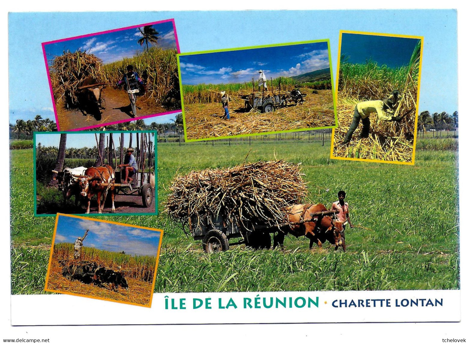 Ile De La Reunion Ed Noor Akhoun. 4607 Charettes Lontan St Louis - Saint Pierre