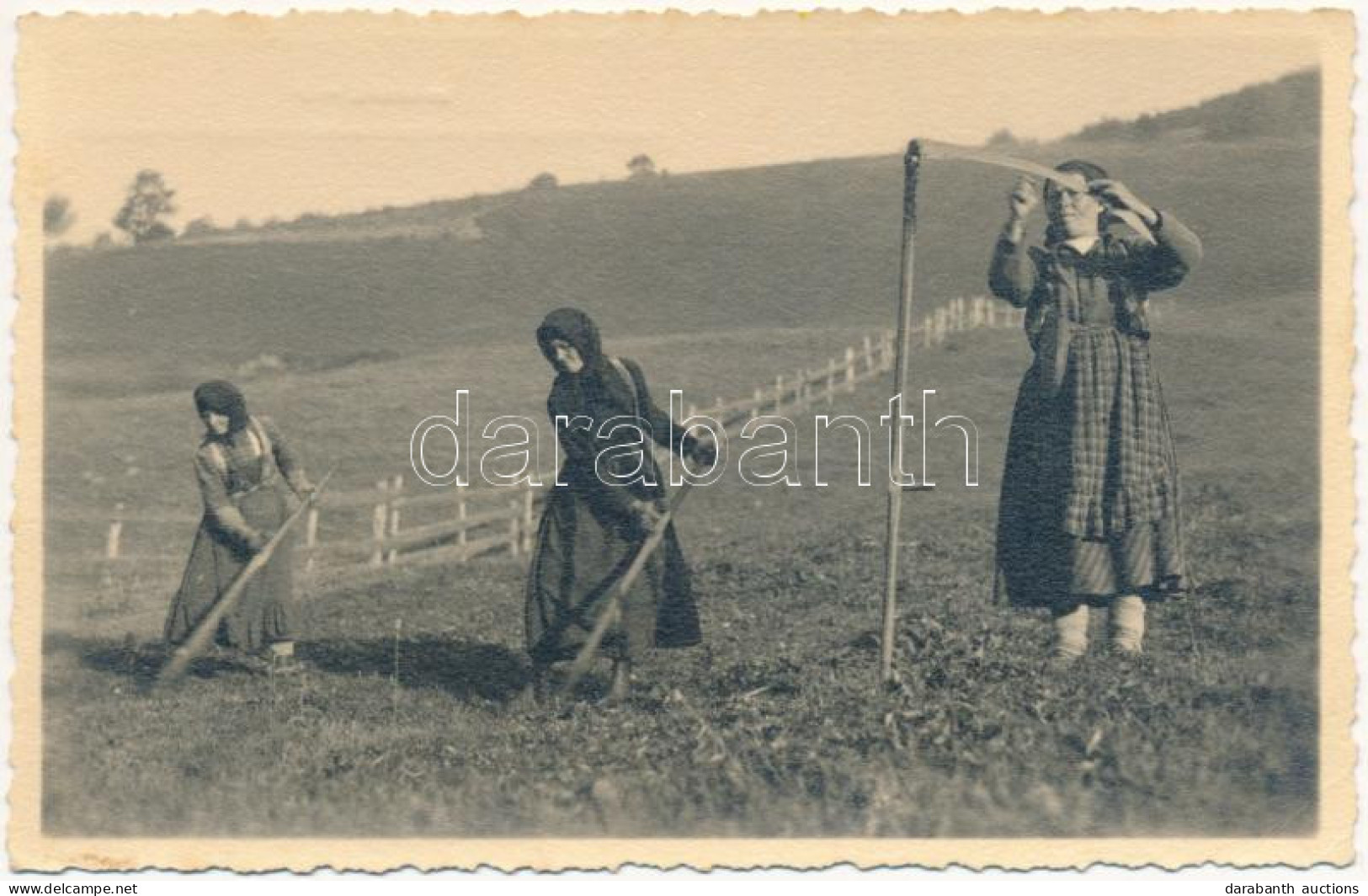 ** T2/T3 Felsővidra, Vidra De Sus, Avram Iancu; Femei La Coasa / Erdélyi Folklór, Asszonyok Kaszával / Transylvanian Fol - Non Classés