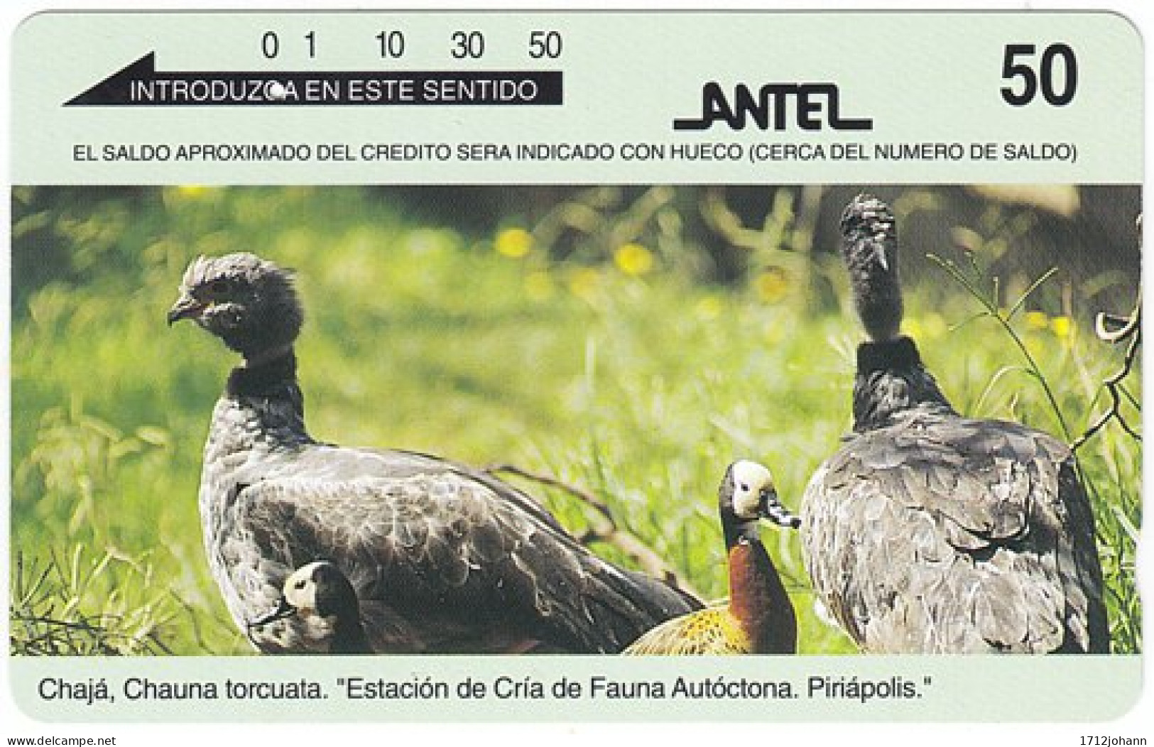 URUGUAY A-529 Magnetic Antel - Animal, Bird - Used - Uruguay