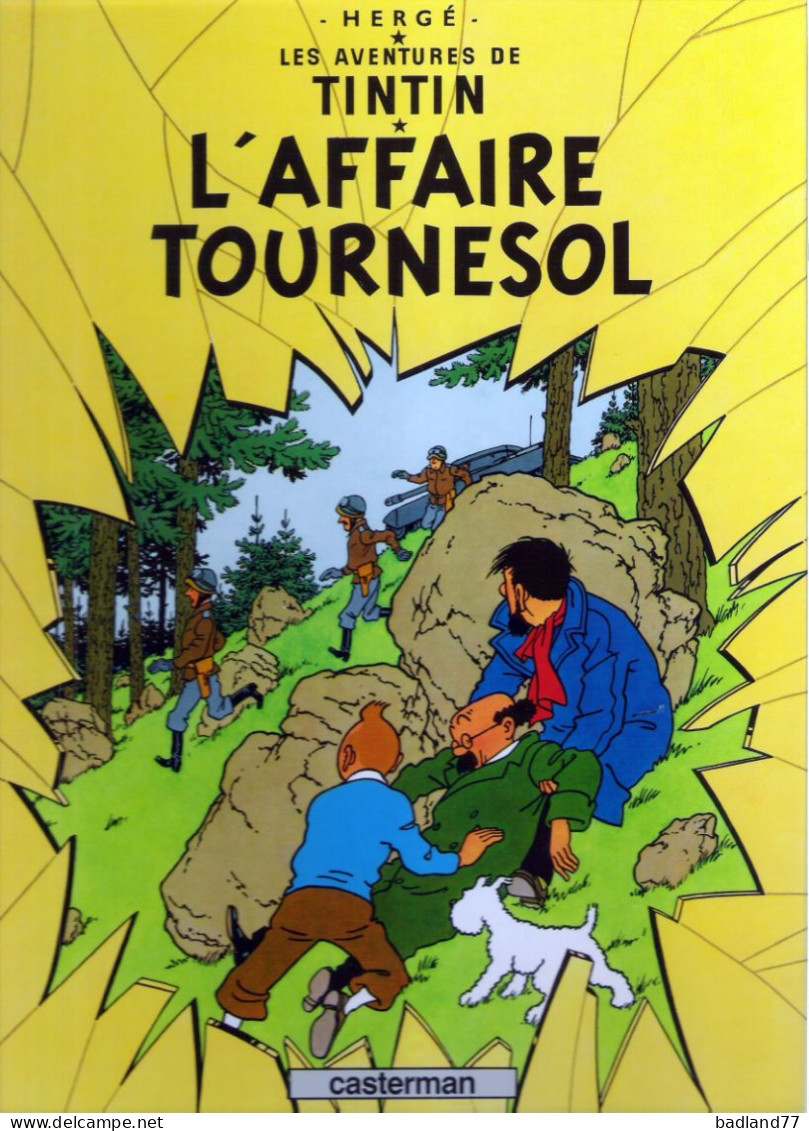 BD CASTERMAN - TINTIN - 18 . L Affaire Tournesol - HERGE     - Other & Unclassified