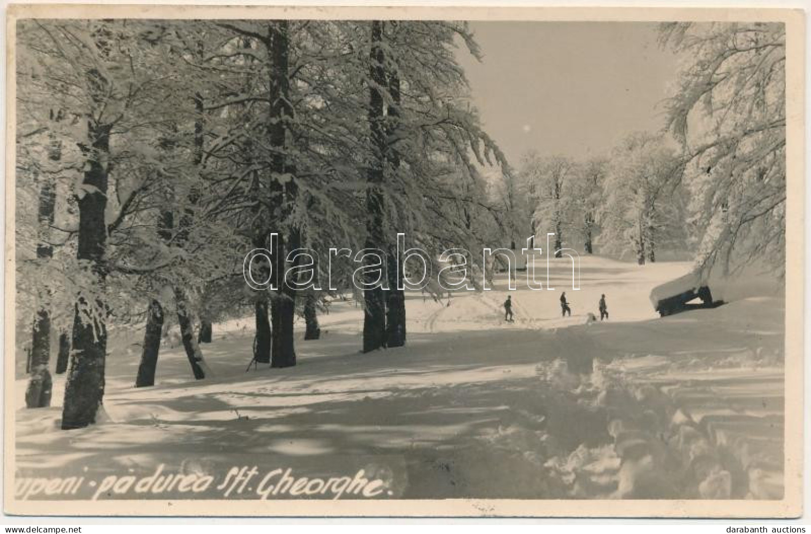 T2/T3 Sepsiszentgyörgy, Sfantu Gheorghe; Síelők, Téli Sport / Skiers, Winter Sport. Photo (fl) - Unclassified