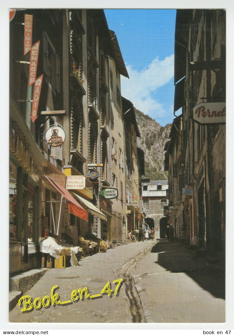 {87220} 05 Hautes Alpes Briançon , La Grande Gargouille Et La Maison Des Têtes - Briancon