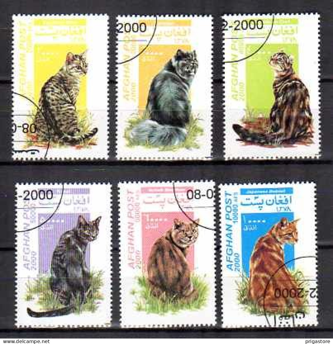 Chats Afghanistan 2000 (11) Yvert N° Non Répertorié Oblitérés Used - Katten