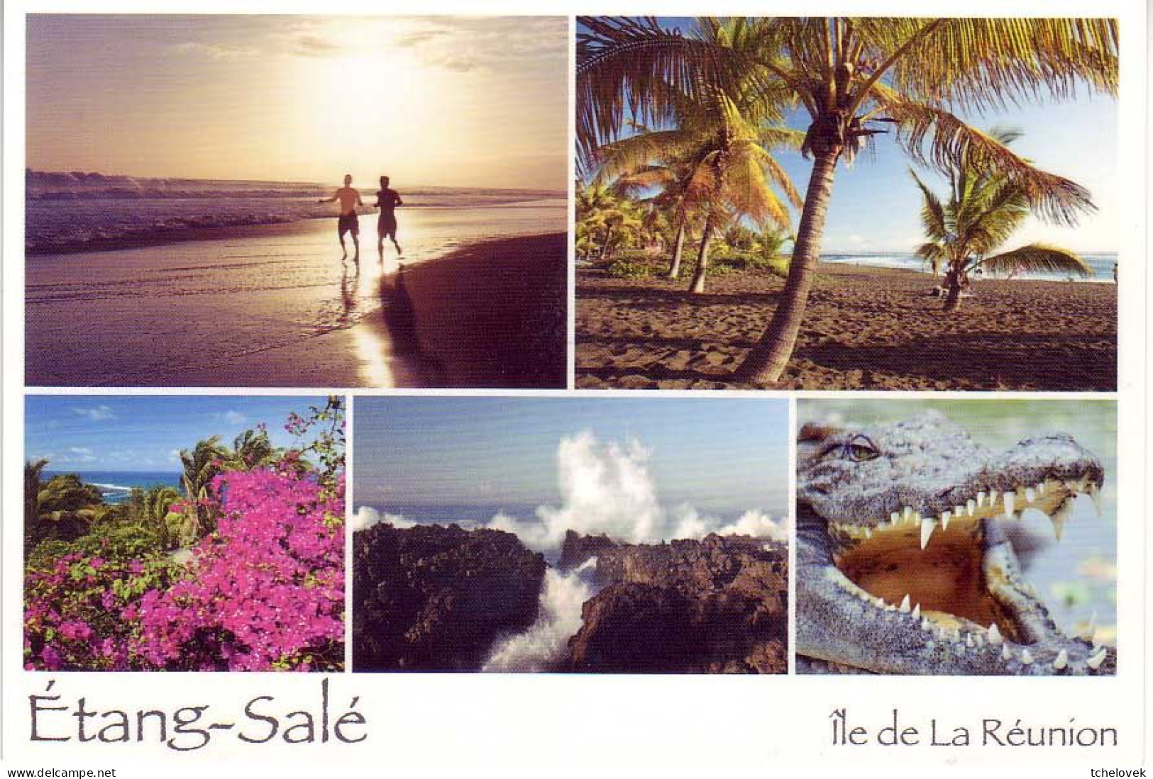 Ile De La Reunion. Ed Orphie. P16 Etang Sale. Crocodile - Other & Unclassified