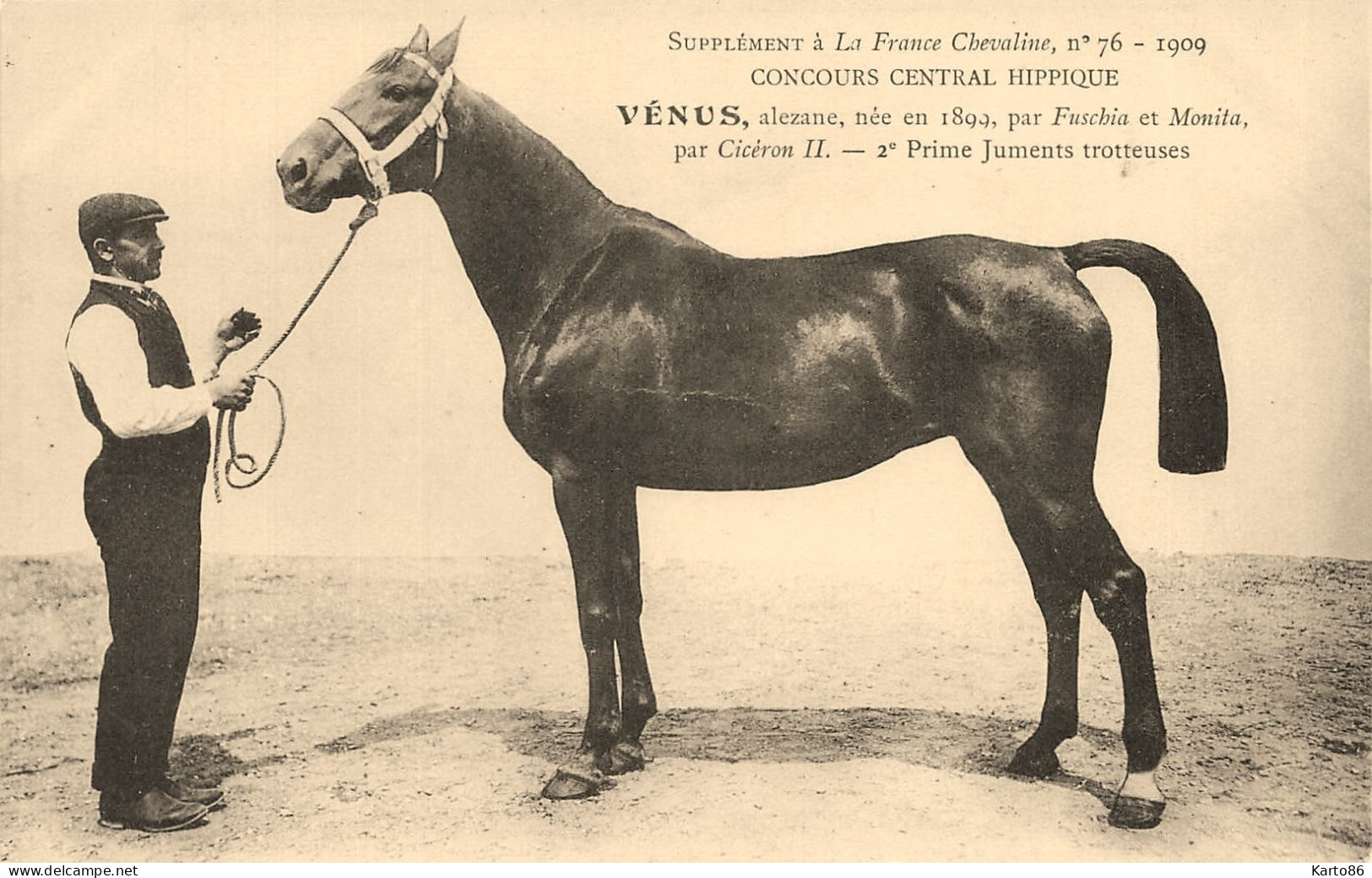 Hippisme * La France Chevaline N°76 1909 * Concours Centrale Hippique * Cheval VENUS Alezane Jument Trotteuse - Reitsport