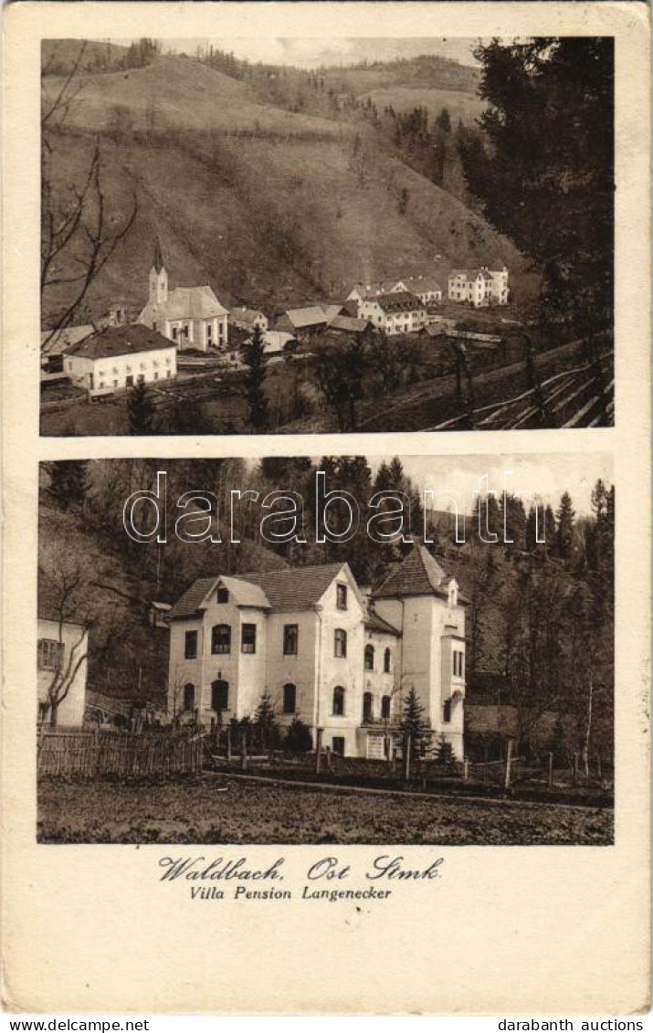 T2/T3 1930 Waldbach (Steiermark), Villa Pension Langenecker (EK) - Sin Clasificación