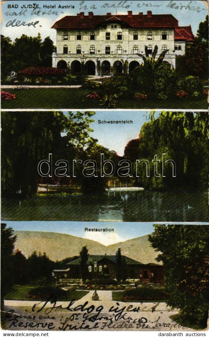 * T3 1913 Ilidza, Bad Ilidze Bei Sarajevo; Hotel Austria, Schwanenteich, Restaurant (Rb) - Zonder Classificatie