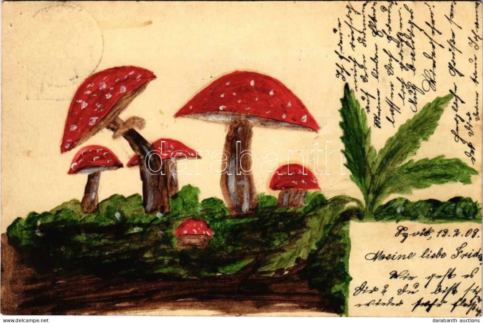 T3 1908 Gombák, Kézzel Rajzolt / Mushrooms, Hand-drawn (lyuk / Pinhole) - Ohne Zuordnung