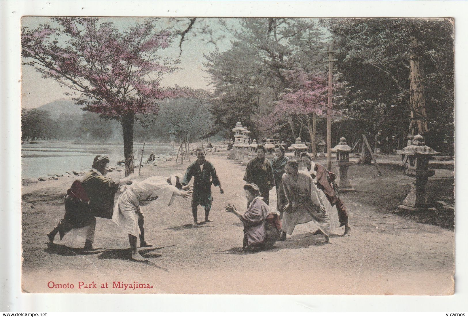 CP JAPON Omoto Park Ay MIYAJIMA - Otros & Sin Clasificación