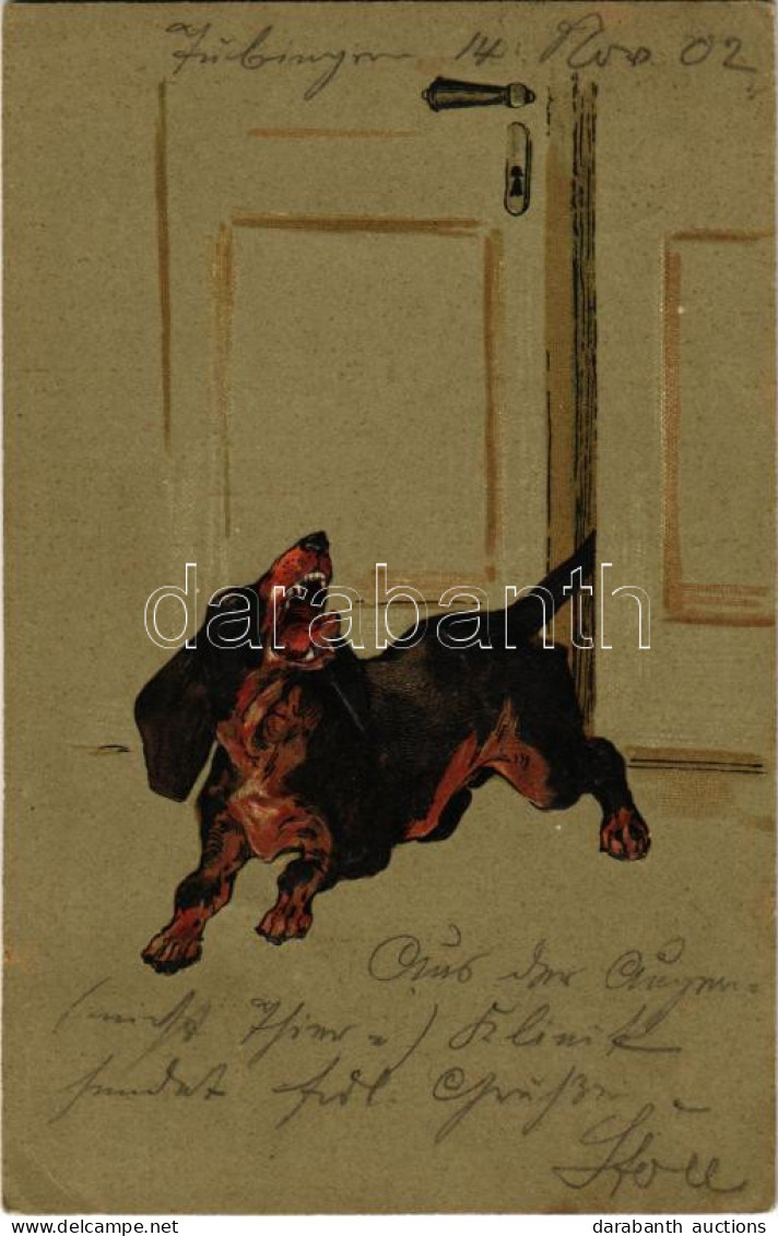 T2/T3 1902 Tacskó Kutya - Dombornyomott / Dachshund Dog - Embossed Litho (EK) - Unclassified