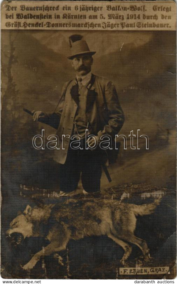 T3/T4 1911 Der Bauernschreck Ein 6 Jähriger Balkan Wolf / Vadász Egy Lelőtt 6 éves Balkáni Farkas / Hunter With A 6 Year - Non Classificati