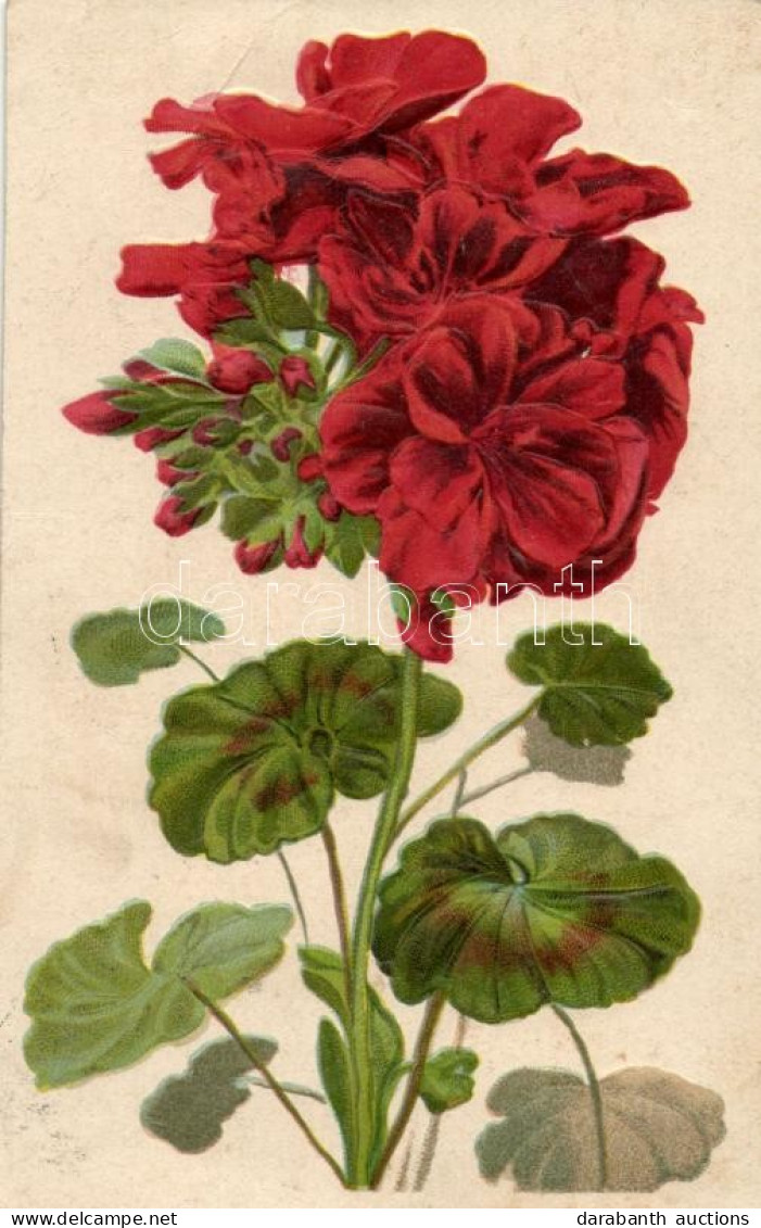 T3 Flower, Emb. Litho (EB) - Non Classés