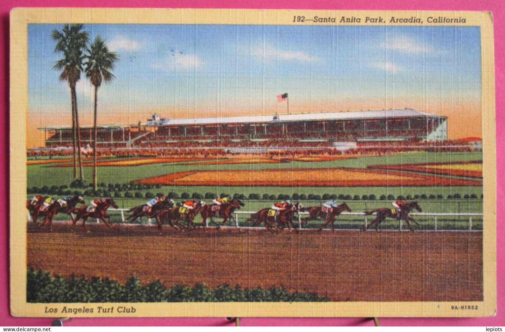 Visuel Pas Très Courant - USA - Californie - Los Angeles Turf Club - Santa Anita Park - Arcadia - Hippodrome Et Chevaux - Los Angeles