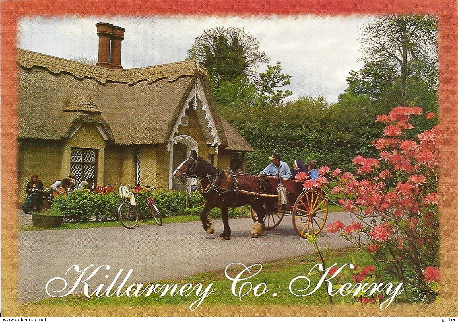 *CPM - IRLANDE - KILLARNEY  CO.  KERRY - Attelage De Cheval - Kerry