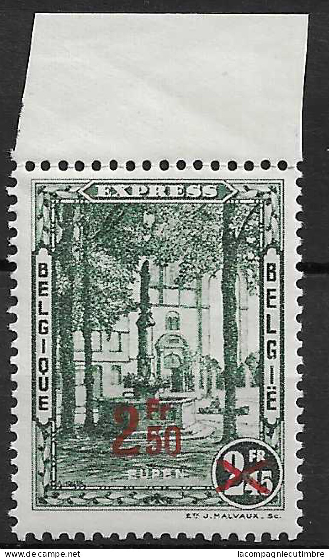 Belgique Expres YT N° 6 Neuf ** MNH. TB - Neufs