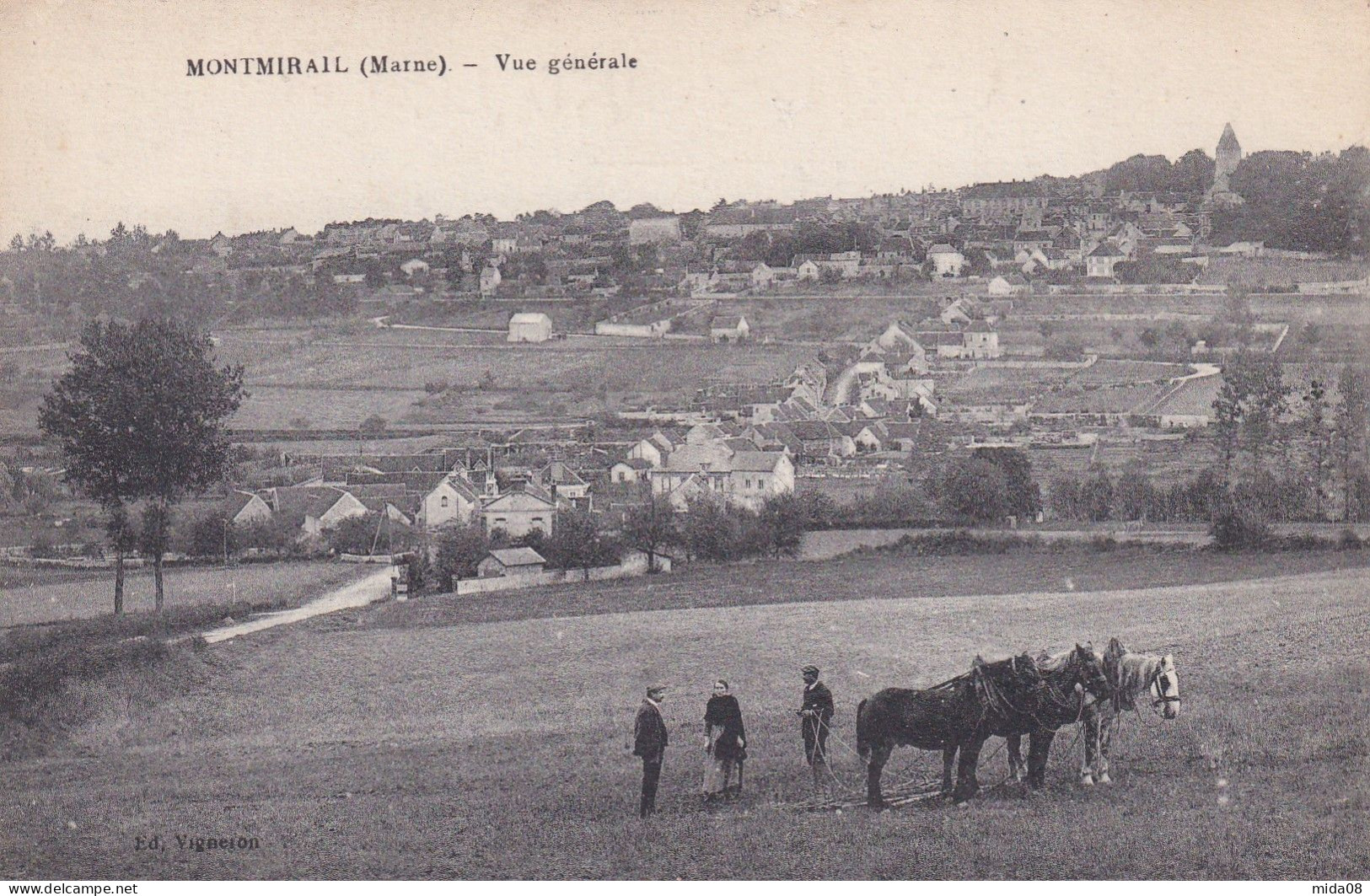 51. MONTMIRAIL . Vue Générale . Animée Chevaux Au Travail - Montmirail