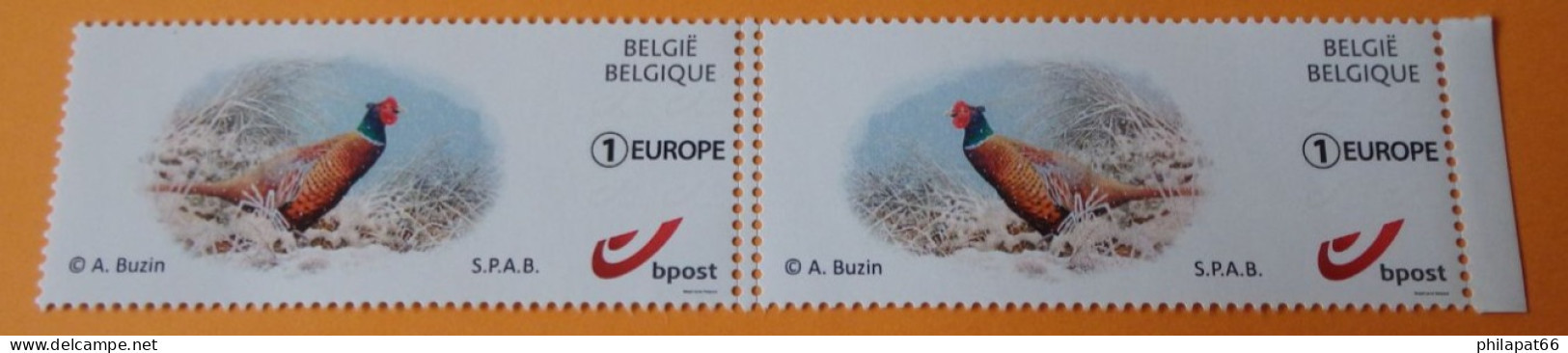 Mystamp Fazant Zelfklevend Europa Zeer Zeldzaam RRRRRRRRRRR - 1985-.. Birds (Buzin)