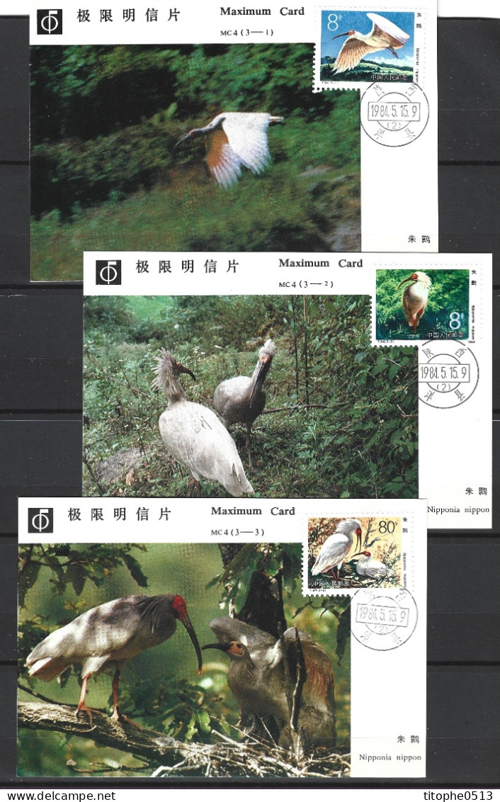 CHINE. N°2652-4 Sur 3 Cartes Maximum De 1984. Ibis. - Ooievaars