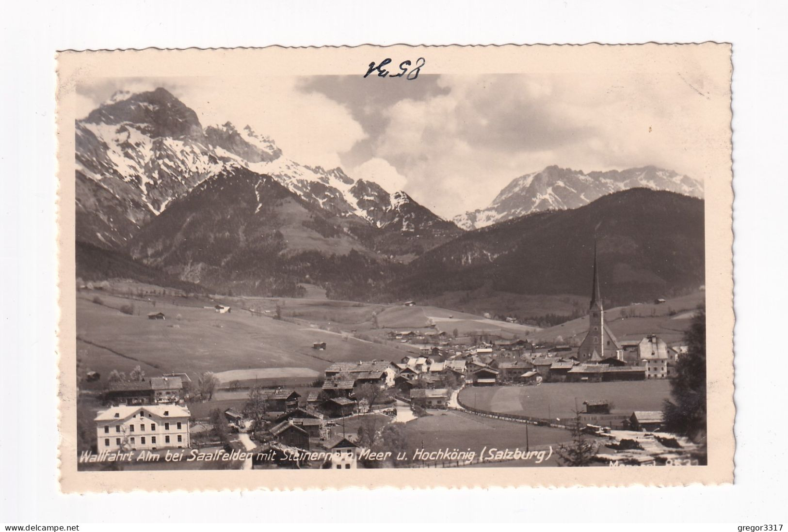 E6162) ALM Bei SAALFELDEN - Mit Steinernem Meer U. Hochkönig - MONOPOL FOTO AK 8531 - Saalfelden