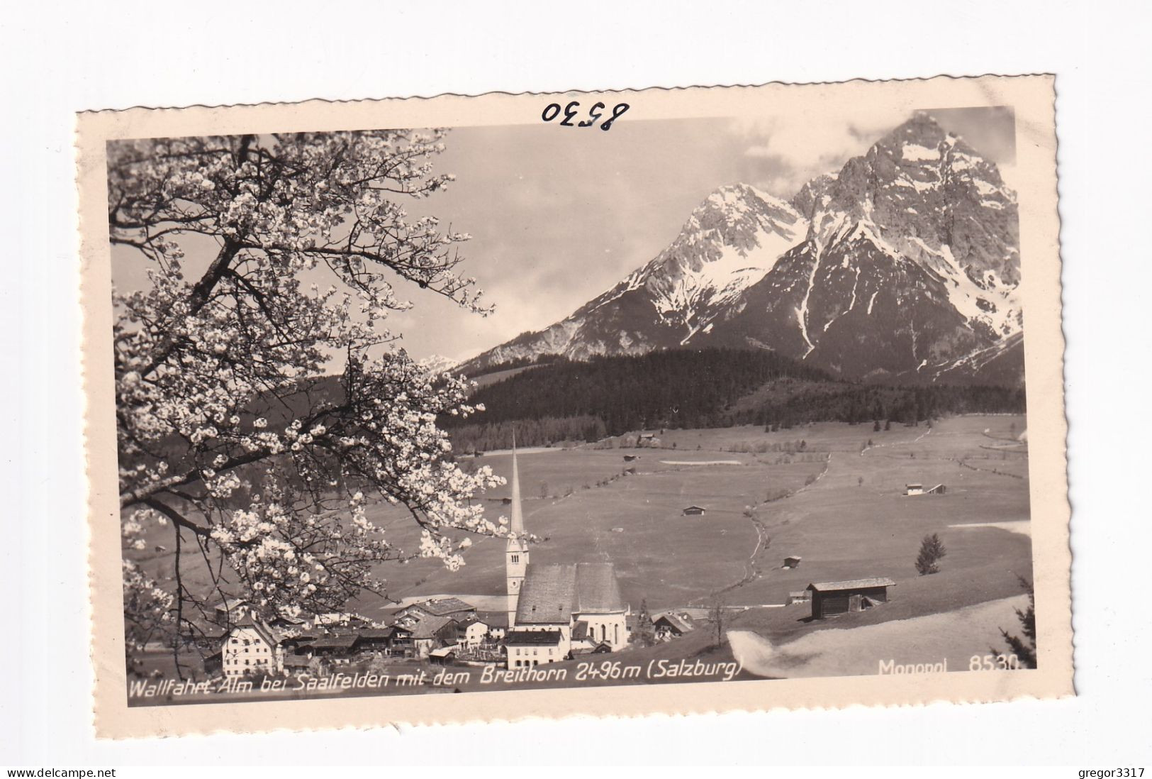 E6163) Wallfahrt ALM Bei SAALFELDEN  Mit Dem Breithorn - Salzburg - Blühender Baum - Kirche Häuser ALT! - Saalfelden