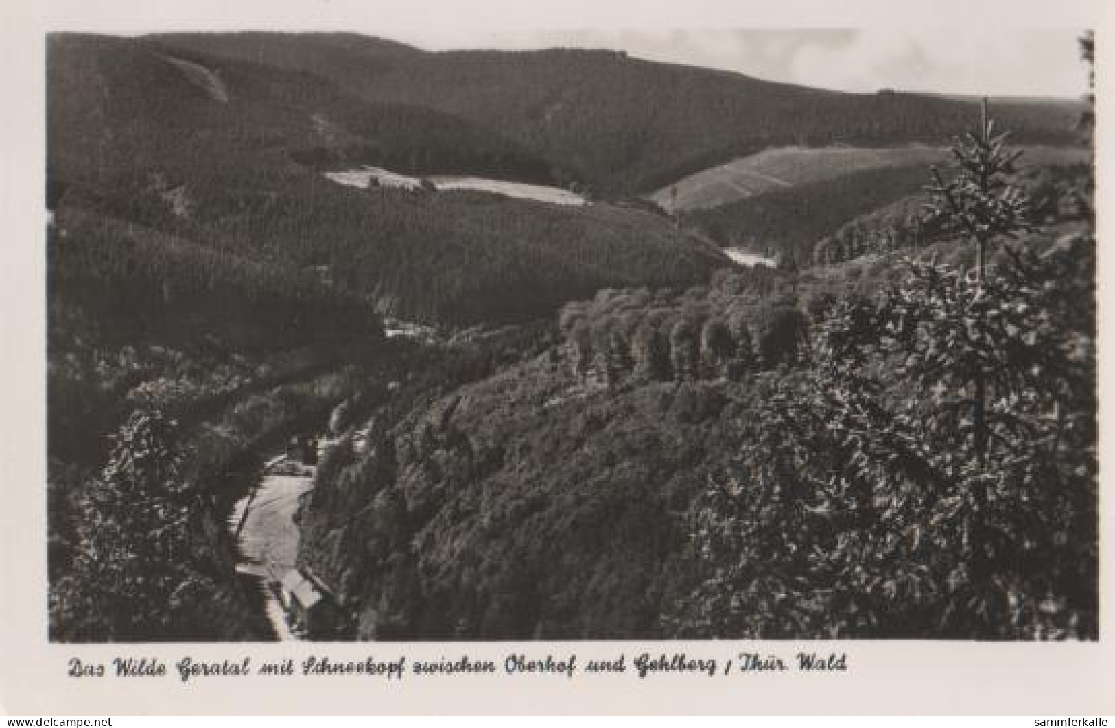 17662 - Geratal Zwischen Oberhof Und Gehlberg - Ca. 1955 - Oberhof