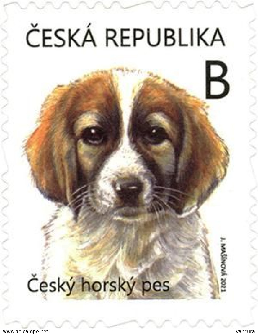 1133 -4 Czech Republic Puppy Czech Mountain Dog 2021 - Neufs