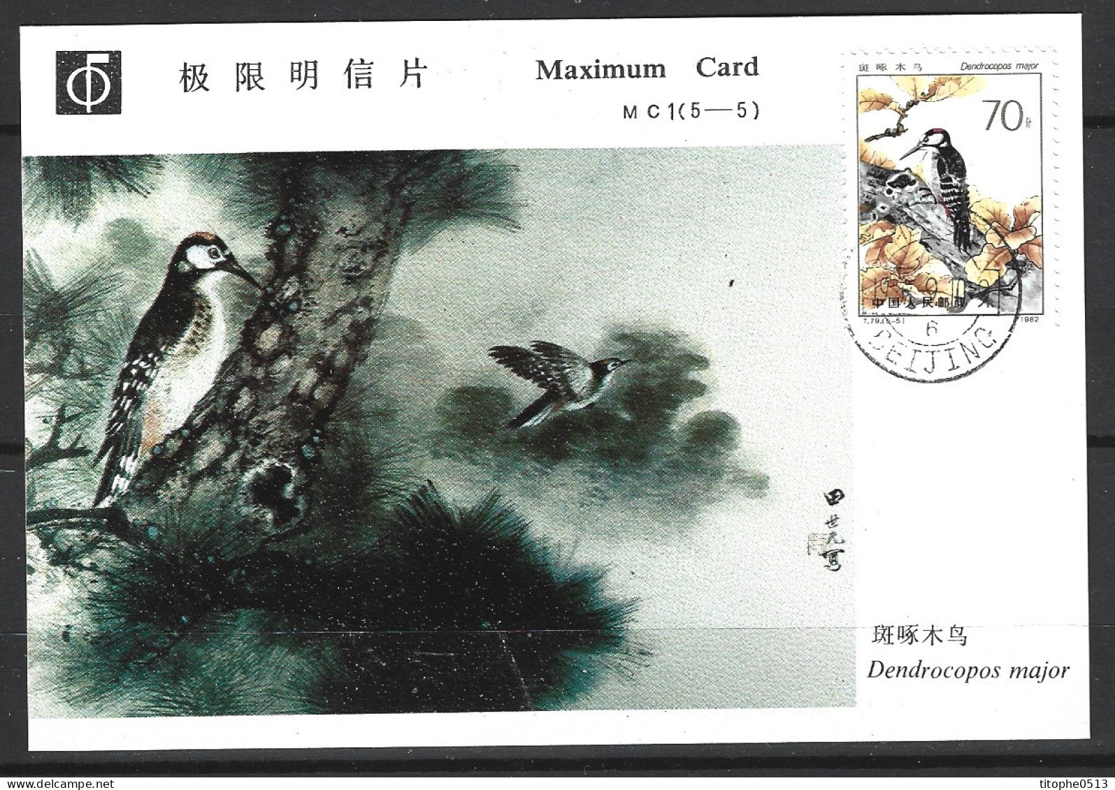 CHINE. N°2539 Sur Carte Maximum De 1982. Pic épeiche. - Piciformes (pájaros Carpinteros)