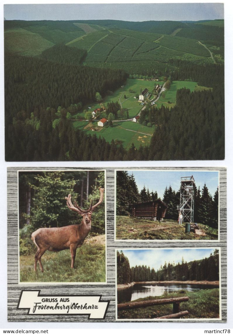 3392 Festenburg Oberharz Gruss Aus Waldgaststätte Grüne Tanne - Clausthal-Zellerfeld