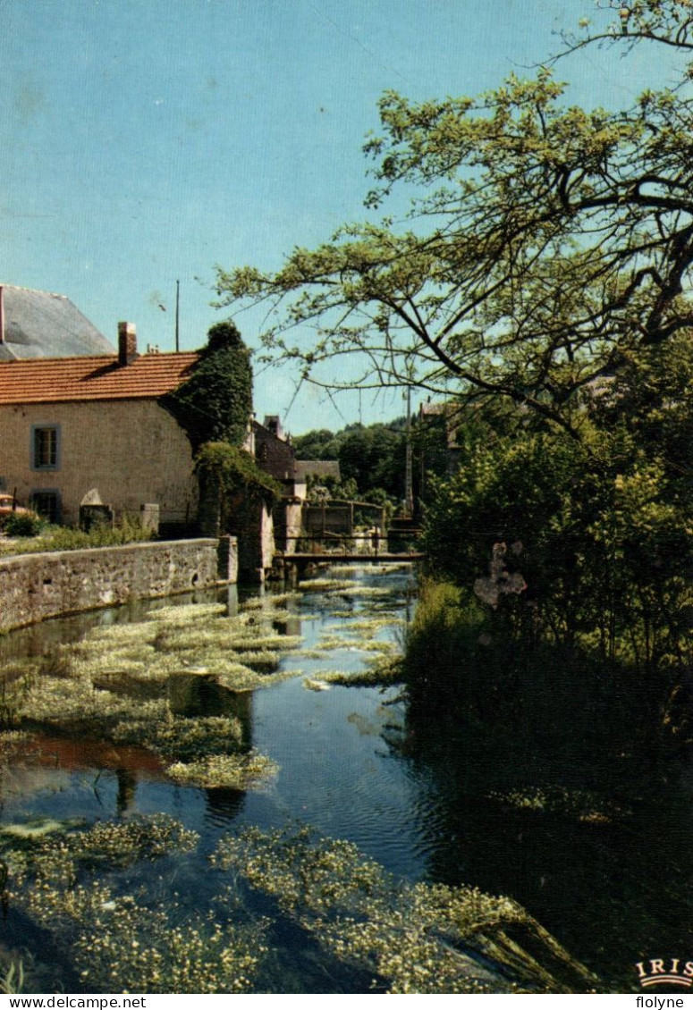 Nismes - Sortie De L'eau Noire - Moulin Passerelle - Belgique Belgium - Andere & Zonder Classificatie