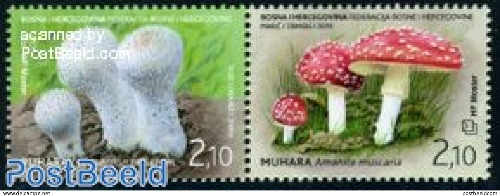 Bosnia Herzegovina - Croatic Adm. 2010 Mushrooms 2v [:], Mint NH, Nature - Mushrooms - Funghi