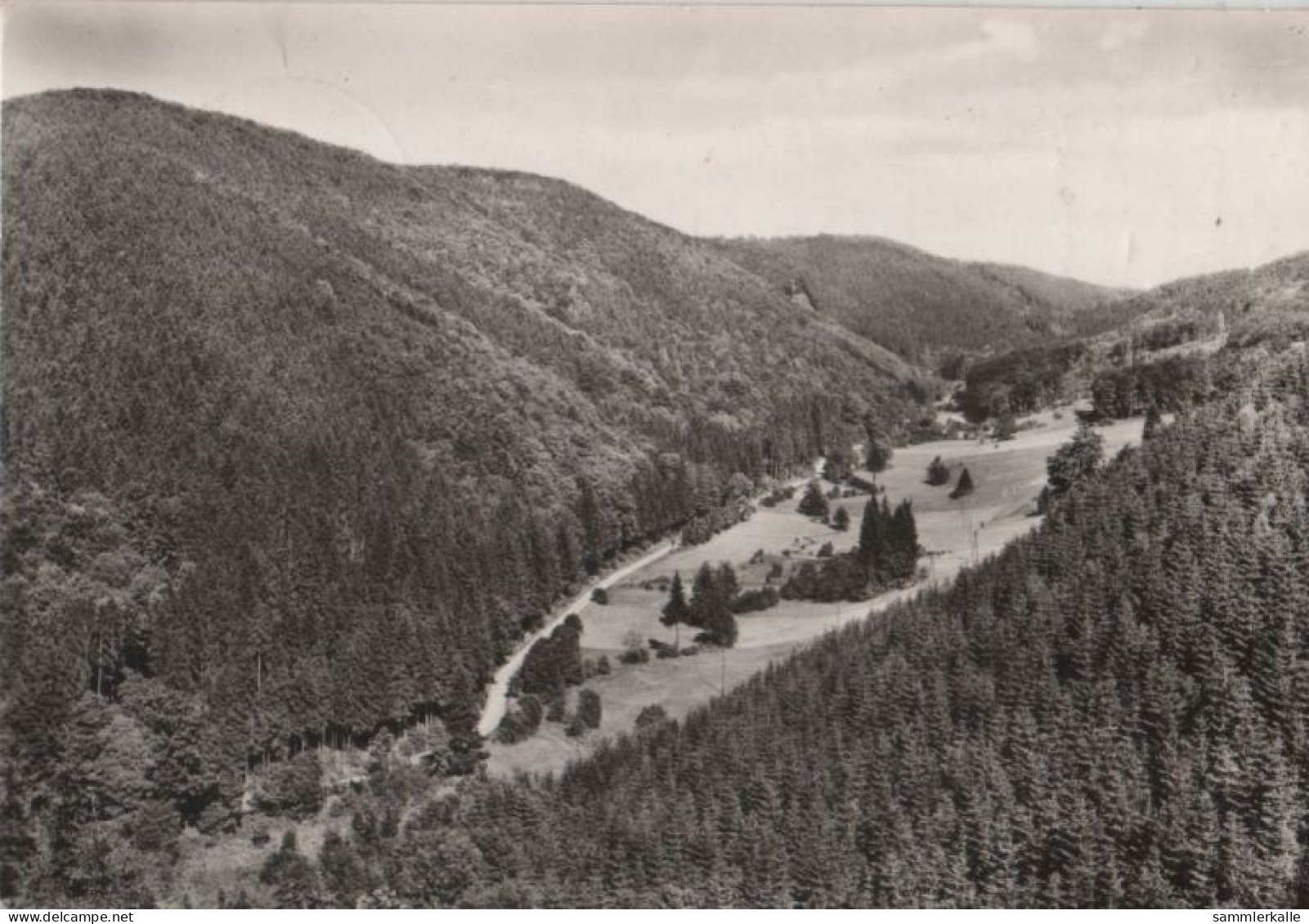 110918 - Ilsfeld-Netzkater - Brandesbachtal - Nordhausen