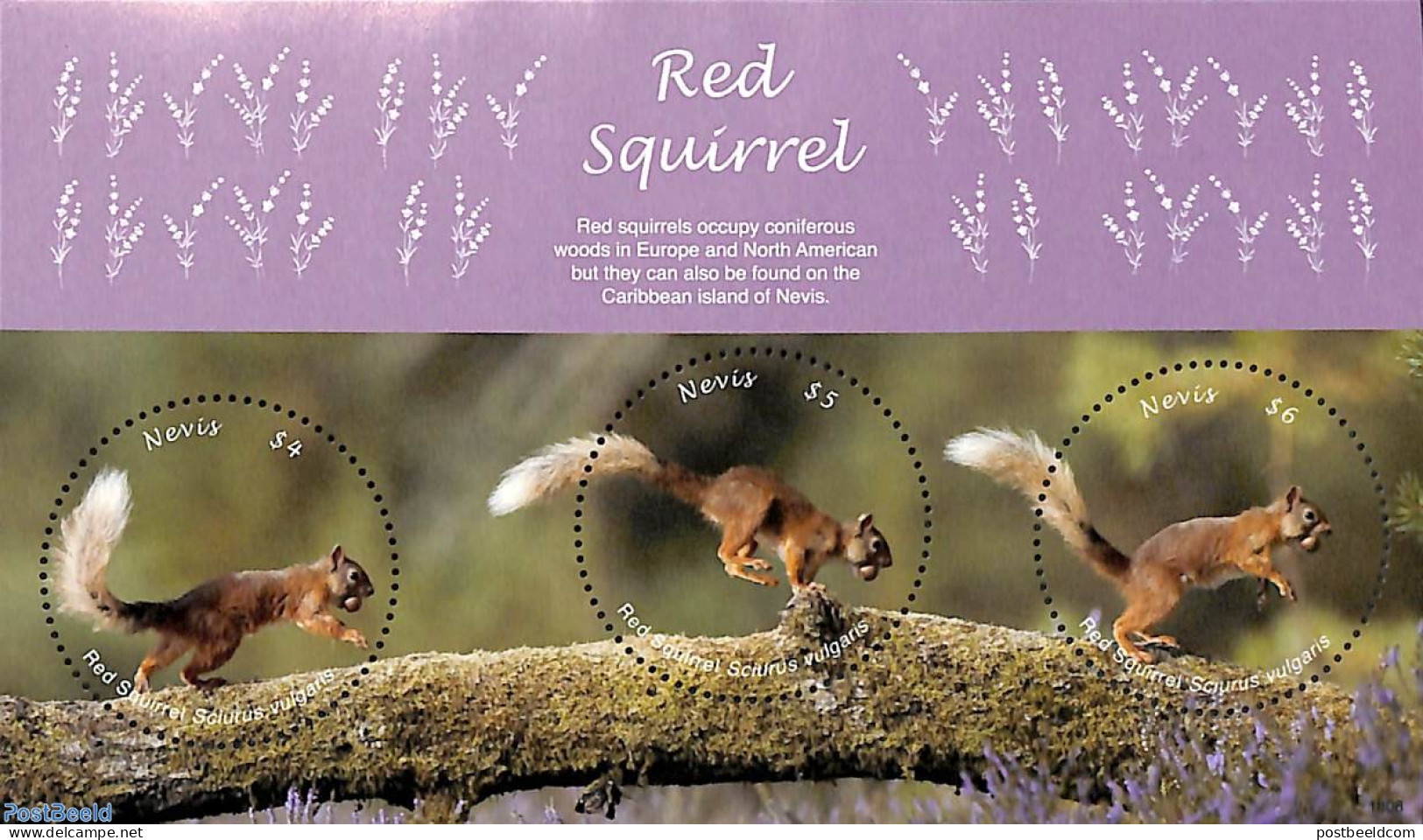 Nevis 2018 Red Squirrel 3v M/s, Mint NH, Nature - Various - Animals (others & Mixed) - Round-shaped Stamps - St.Kitts-et-Nevis ( 1983-...)