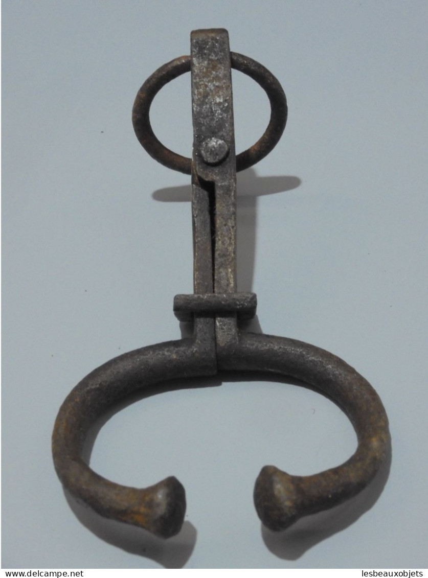 -ANCIEN PINCE NEZ PINCE MUSEAU VACHE Ou TAUREAU Objet De La Ferme OUTIL XXe    E - Outils Anciens