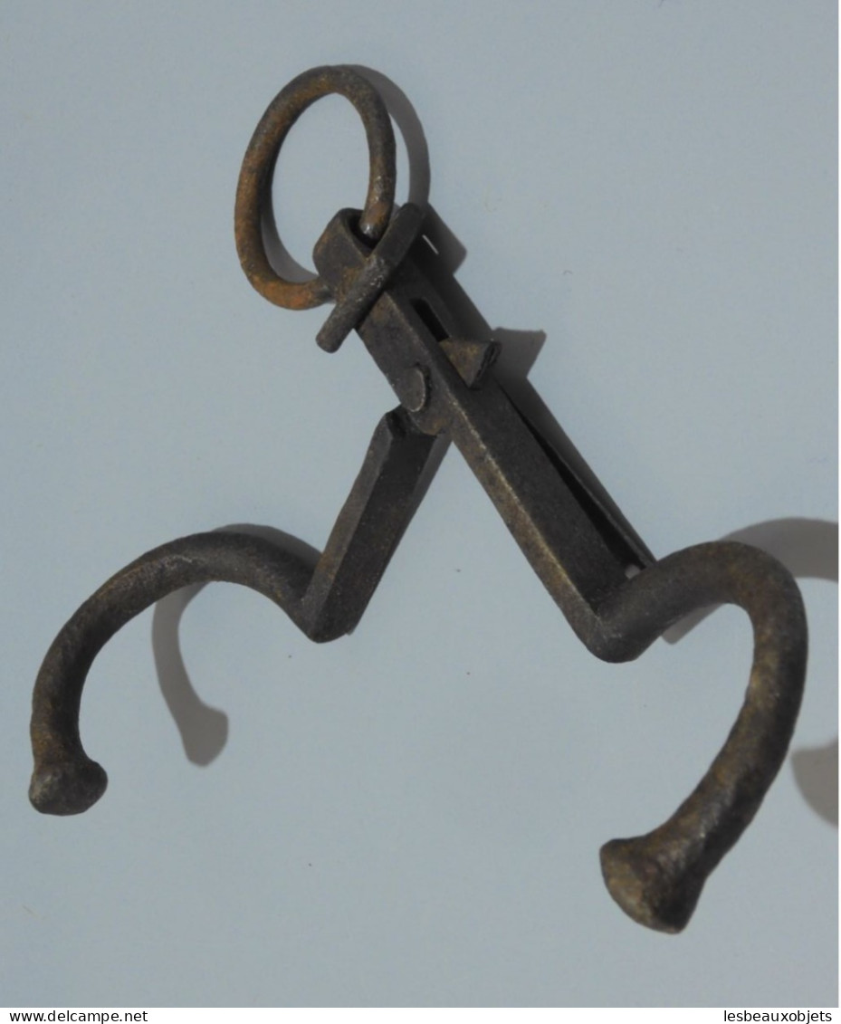 -ANCIEN PINCE NEZ PINCE MUSEAU VACHE ou TAUREAU Objet de la Ferme OUTIL XXe    E